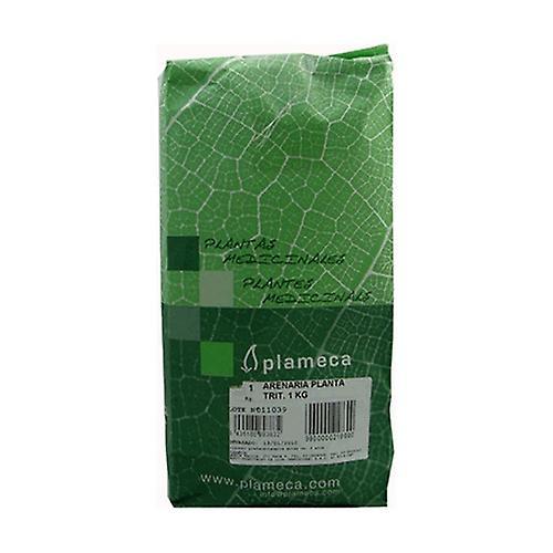 Plameca Strimlet Arenaria Herb 1 kg on Productcaster.