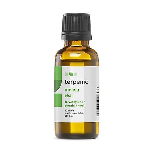 Terpenic Lemon balm essential oil 30 ml of oil on Productcaster.