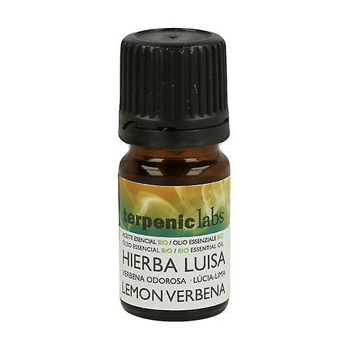 Terpenic Organic Hierbaluisa Essential Oil 5 ml of essential oil on Productcaster.