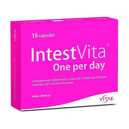 Vitae IntestVita one x day intestinal flora 15 capsules on Productcaster.