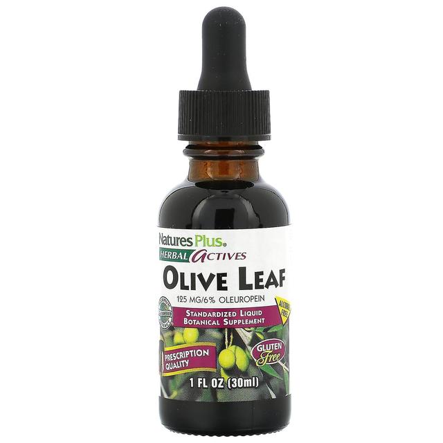 Nature's Plus NaturesPlus, Herbal Actives, Olive Leaf, Alcohol Free, 1 fl oz (30 ml) on Productcaster.