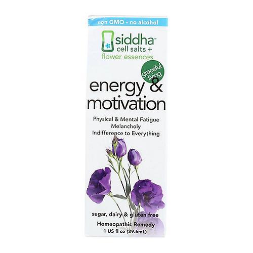 Sidda Flower Essences Energy & Motivation, 1 Oz (Pakket van 1) on Productcaster.