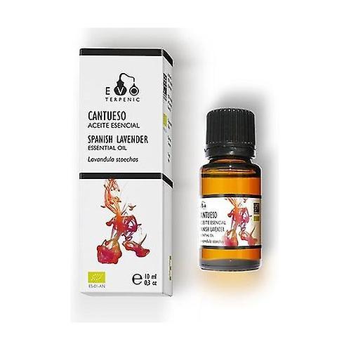 Terpenic Essential Oil Cantueso 10 ml of essential oil on Productcaster.