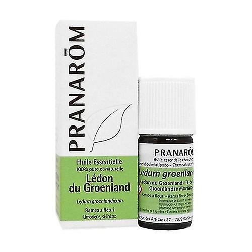 Pranarôm Grønland Ledon æterisk olie - blomstrende kvist 5 ml æterisk olie on Productcaster.