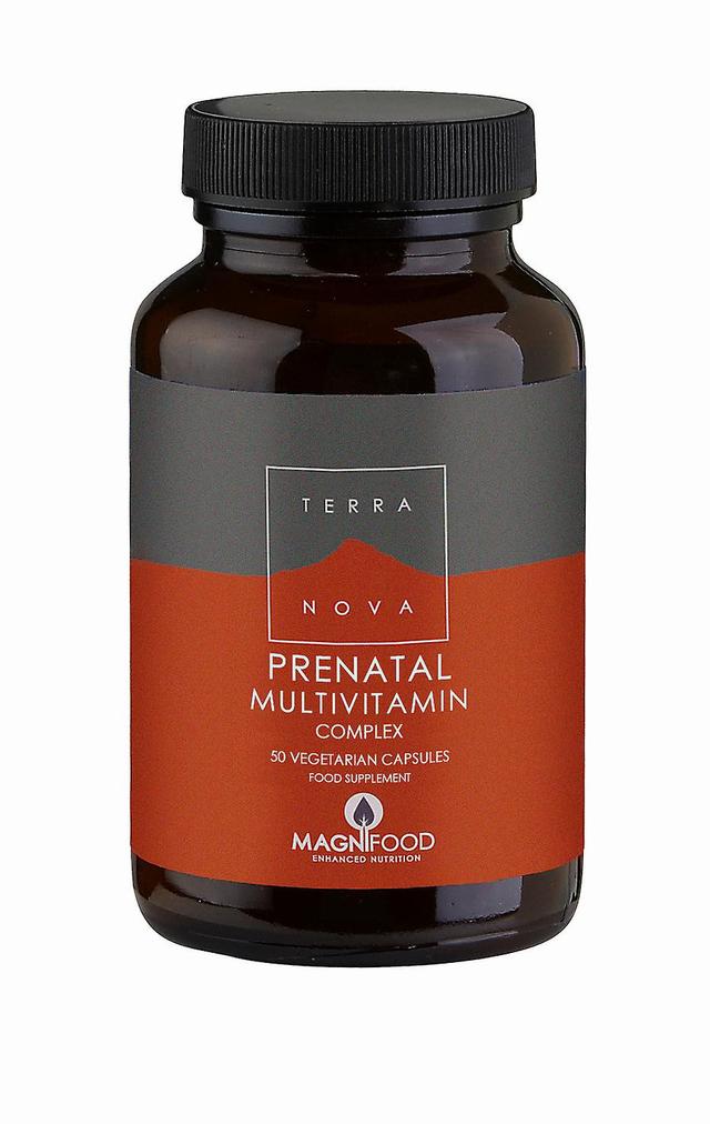 Terra Nova Terranova prenatal multivitamin complex 100's on Productcaster.