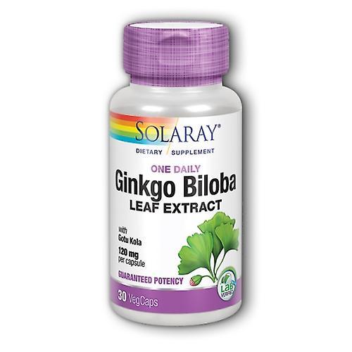 Extracto de hoja de Solaray Ginkgo Biloba, 120 mg, 30 cápsulas (paquete de 3) on Productcaster.