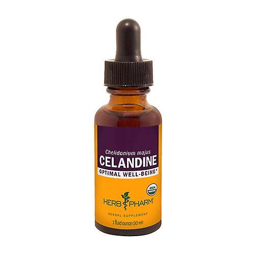 Herb Pharm Celandine Extract, 1 Oz (Pack of 4) on Productcaster.