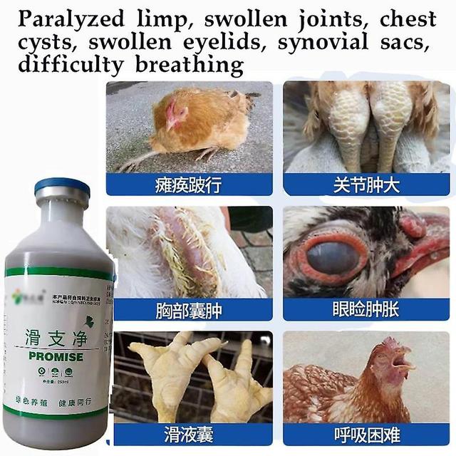 Visgaler Chickens And Ducks, Swollen Joints, Cough, Snoring, Mycoplasma Bursa, Synovitis, Eyes Closed, Necking, Nutritional Supplements on Productcaster.