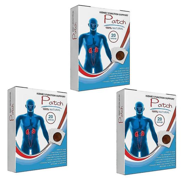 60pcs Kidney Function Support Patch, Kidney Function Improve Overall Physical Health Promote Detoxification on Productcaster.