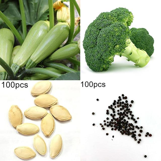 3 x 1 Bag Seed Living Viable Mixed Prolific Broccoli And Zucchini Seeds for Yard on Productcaster.