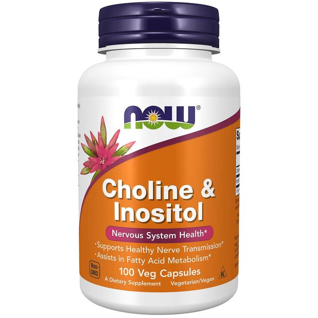 NOW Foods Choline & Inositol 500 mg 100 Capsules on Productcaster.