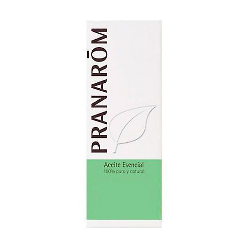 Pranarôm Dill Essential Oil 10 ml of essential oil on Productcaster.