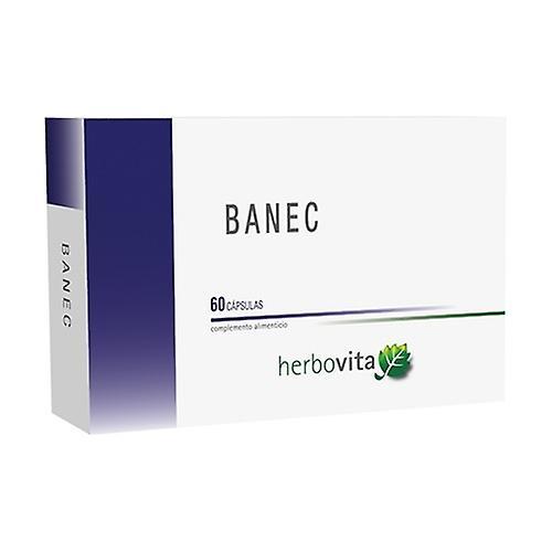 Herbovita Banec 60 kapsler on Productcaster.