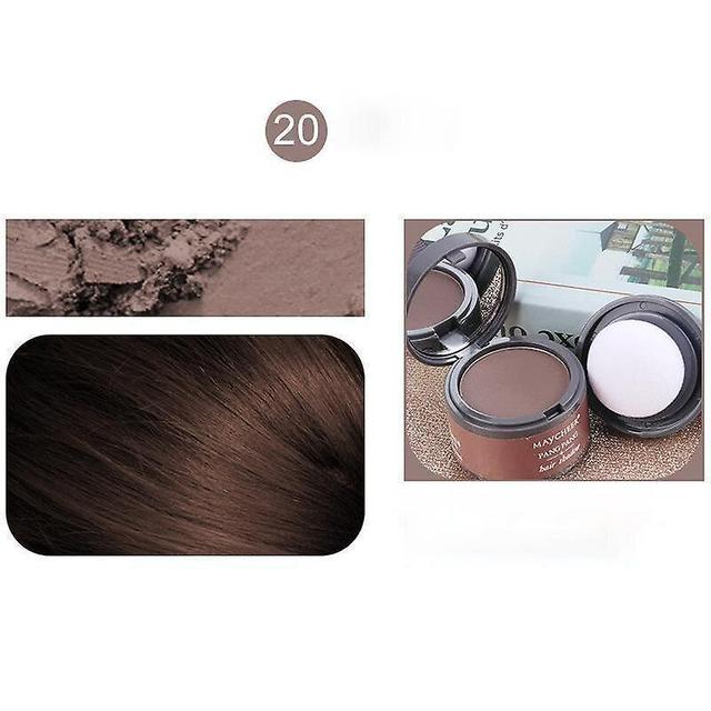 DeliaWinterfel Hair Filling Powder 20 on Productcaster.