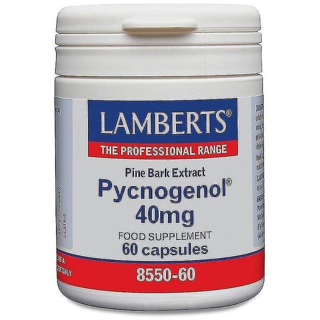 Pycnogenol kapslar 60 (8550-60) on Productcaster.