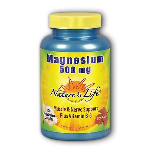 Nature's Life Magnesium,500 mg,100 caps (Pack of 6) on Productcaster.