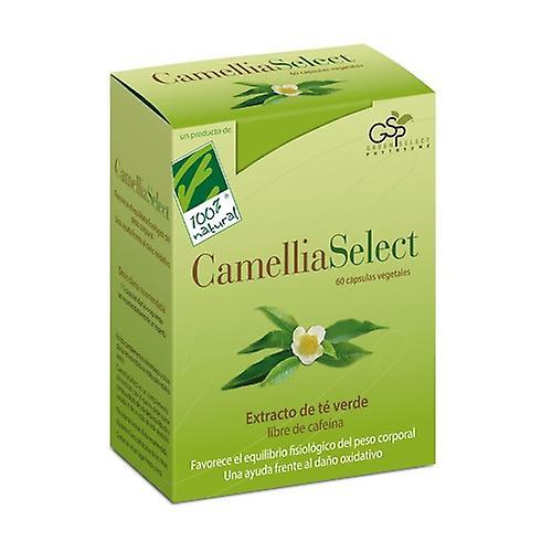 Cien por Cien Natural CamelliaSelect 60 capsules on Productcaster.