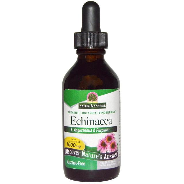 Nature's Answer Nature's Svar, Echinacea, Alkoholfri, 1000 mg, 2 fl oz (60 ml) on Productcaster.