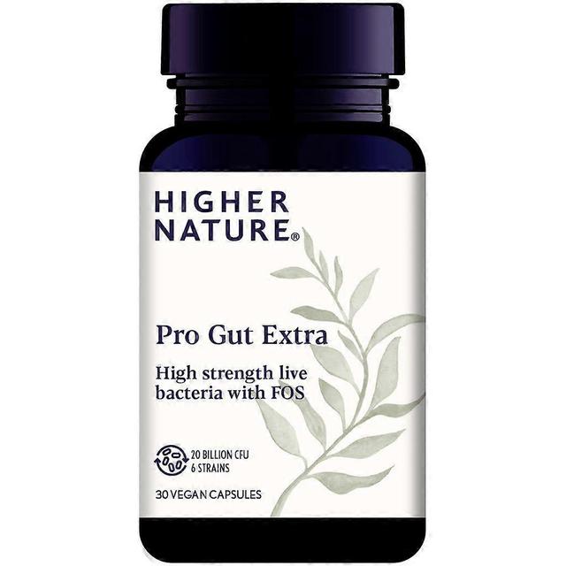 Higher Nature Pro-Gut Extra Caps 30 (PRIH21802) on Productcaster.