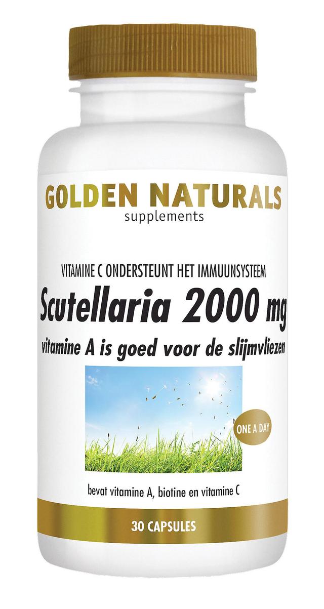 Golden Naturals Scutellaria 2000 mg (30 vegan capsules) on Productcaster.