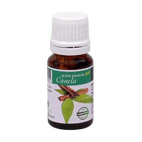 Plantis Organic cinnamon essential oil 10ml on Productcaster.