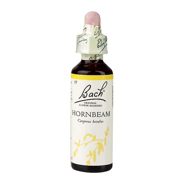 Bach Flower Remedies Bachin kukka korjaa valkopyökki on Productcaster.