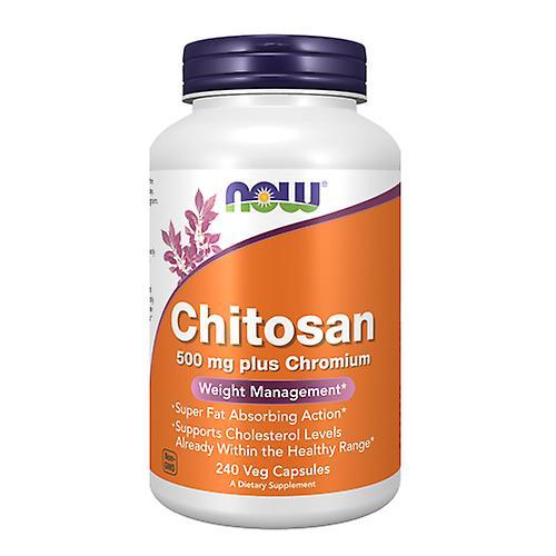 Now Foods Chitosan plus Chrom, 500 mg, 240 Kapseln (6er-Packung) on Productcaster.