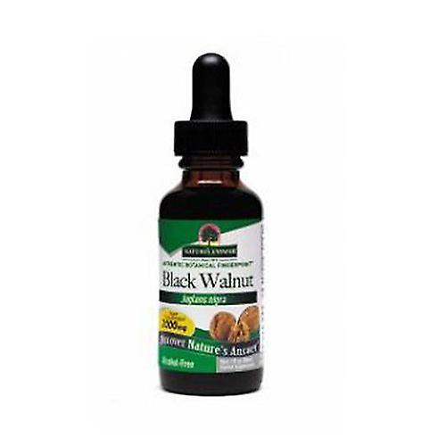 Nature's Answer Black Walnut Hulls Alcohol Free Extract, 1 Oz (Pack of 2) on Productcaster.