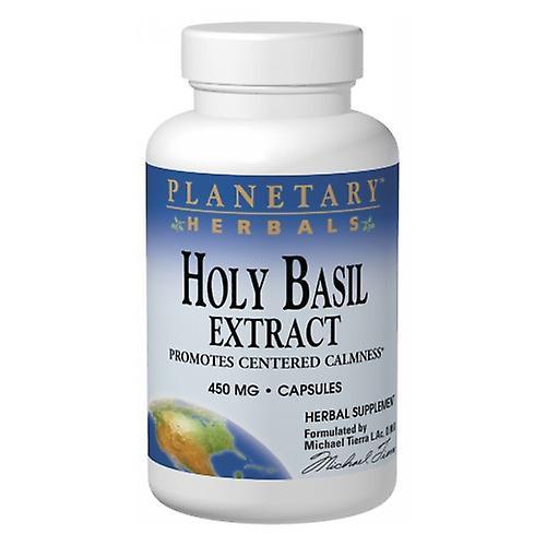 Planetary Herbals Heiliges Basilikum, 450 mg, 120 Kapseln (6er Packung) on Productcaster.