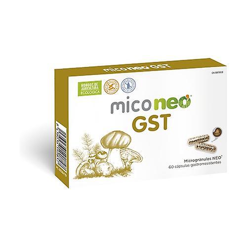 Mico Neo GST 60 capsules on Productcaster.