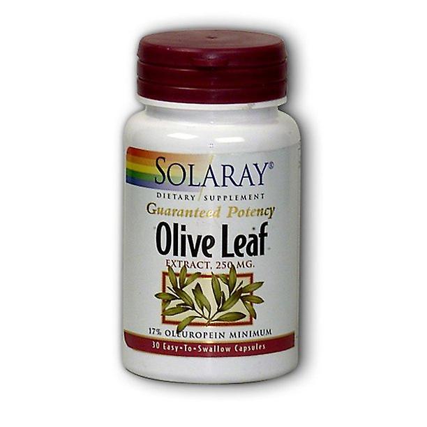 Solaray olijfblad extract 250 mg - 60 capsules on Productcaster.