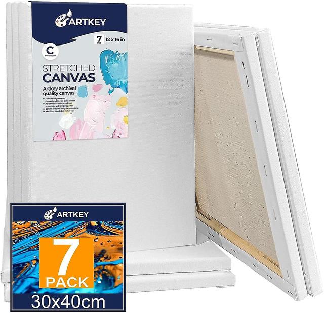 Cdgjd Tele allungate per pittura 12x16 pollici confezione da 7, 10 oz Triple Primed Acid-free 100% cotone in bianco C on Productcaster.