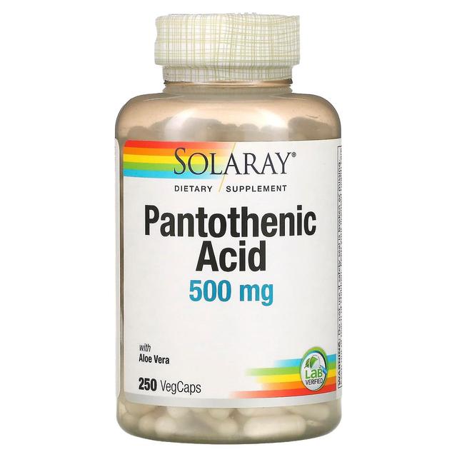 Solaray, Pantothenic Acid, 500 mg, 250 VegCaps on Productcaster.