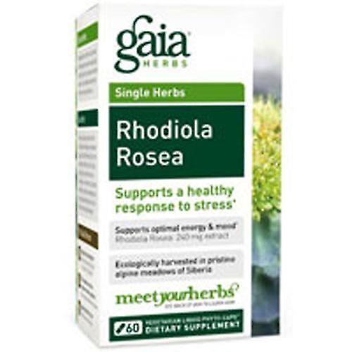 Gaia Herbs Rhodiola Rosea, 60 Cápsulas (Pack de 1) on Productcaster.