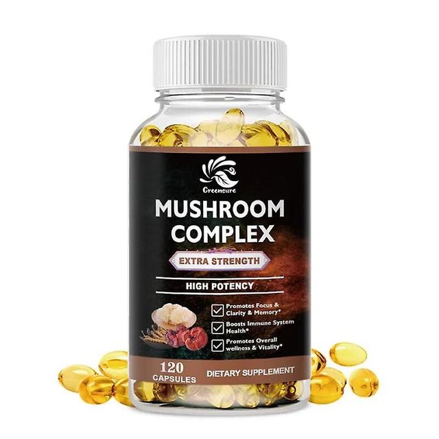 Visgaler Pilz-Komplex-Kapsel - Löwenmähne Reishi Cordyceps Chaga Truthahnschwanz Nootropes Gehirn Gedächtnis & Fokus Stressabbau 1 Flasche 60 pills on Productcaster.