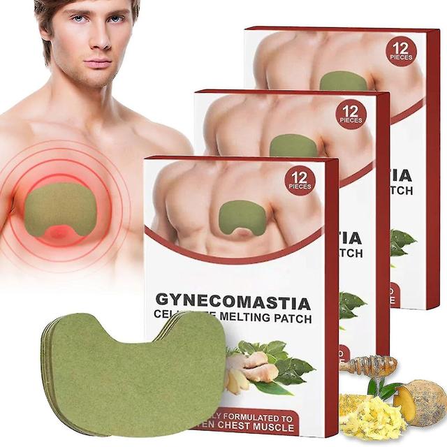 Jiay 12/60pcs Chest Belly Fat Remove For Men Gynecomastia Cellulite Melting Patch 48pcs4box on Productcaster.