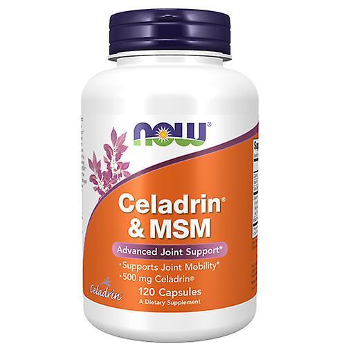 Now Foods Celadrin & MSM, 120 caps (paquet de 2) on Productcaster.