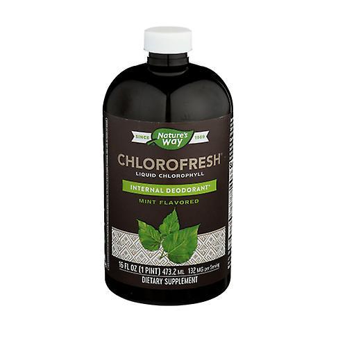 Nature's Way Chlorofresh, 16 Oz Liquid Mint, (Case of 6) (Pack of 3) on Productcaster.