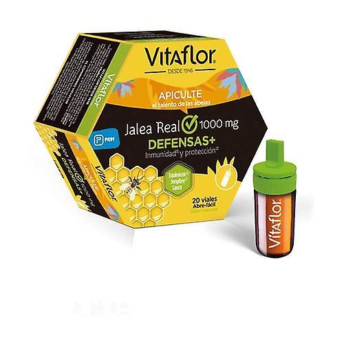 VITAFLOR Royal defenses jelly + echinacea, ginger and elderberry 20 vials (Apple) on Productcaster.