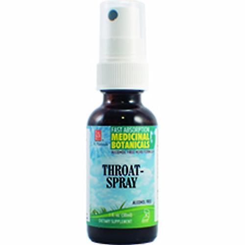 LA Naturals L. A. Naturals Throat Soothe Glycerine Spray, 1 Oz (Pack de 1) on Productcaster.