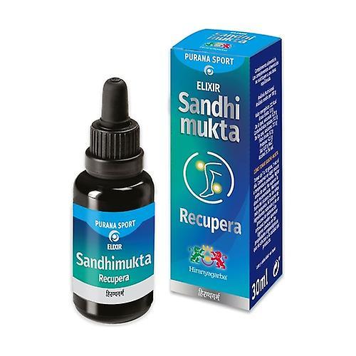 Hiranyagarba Purana sport sandhimukta elixir 30 ml on Productcaster.