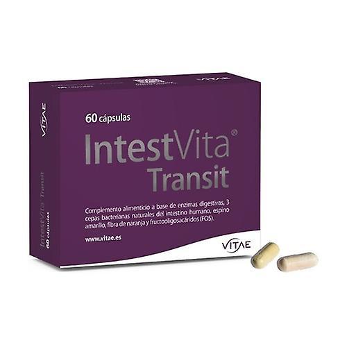 Vitae IntestVita Transit 60 kapselia on Productcaster.