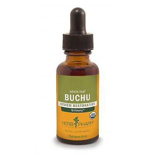 Herb Pharm Buchu Extract, 4 Oz (Pack of 2) on Productcaster.