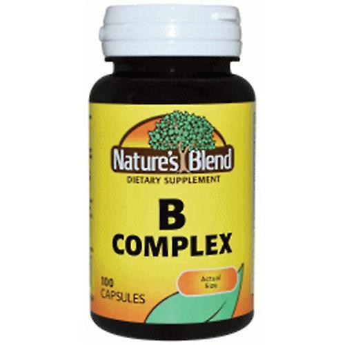 Nature's Blend B Complex Capsules, 100 Caps (Pack of 3) on Productcaster.