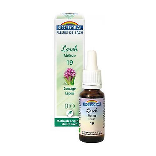 Biofloral Organic larch 20 ml of floral elixir on Productcaster.