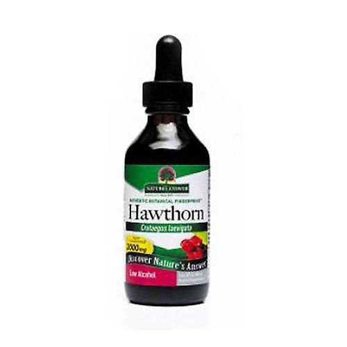 Nature's Answer Hawthorn, Berries Extract 2 FL Oz (Pack of 1) on Productcaster.