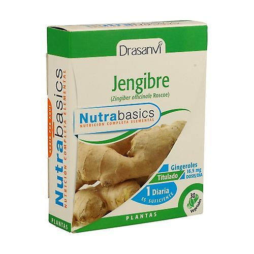 Drasanvi Nutrabasics Ginger 30 kapsler på 481mg on Productcaster.