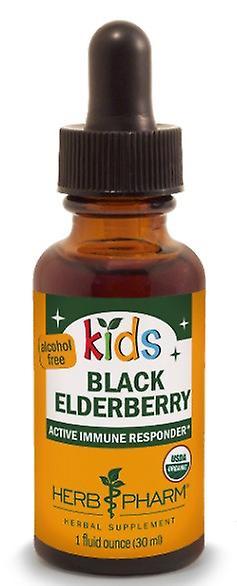 Herb Pharm Kids Black Elderberry Glycerite 1 Oz on Productcaster.