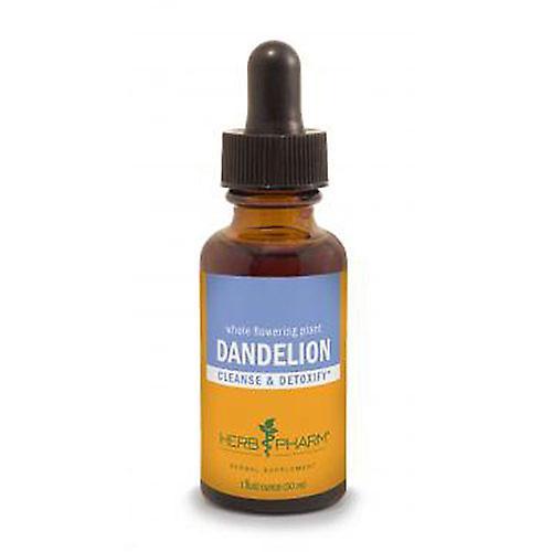 Herb Pharm Dandelion Extract, 4 Oz (Pack of 1) on Productcaster.