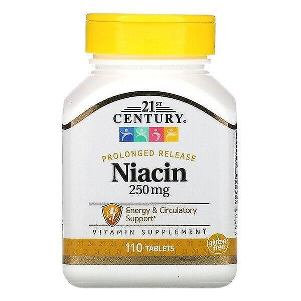 21st Century, Prolonged Release Niacin, 250 mg, 110 Tablets on Productcaster.